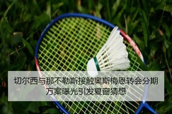 切尔西与那不勒斯接触奥斯梅恩转会分期方案曝光引发夏窗猜想