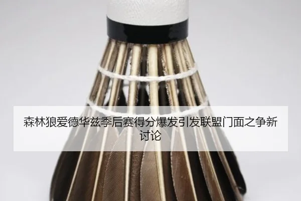 森林狼爱德华兹季后赛得分爆发引发联盟门面之争新讨论